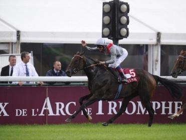 Treve is the best horse in the world on Timeform ratings